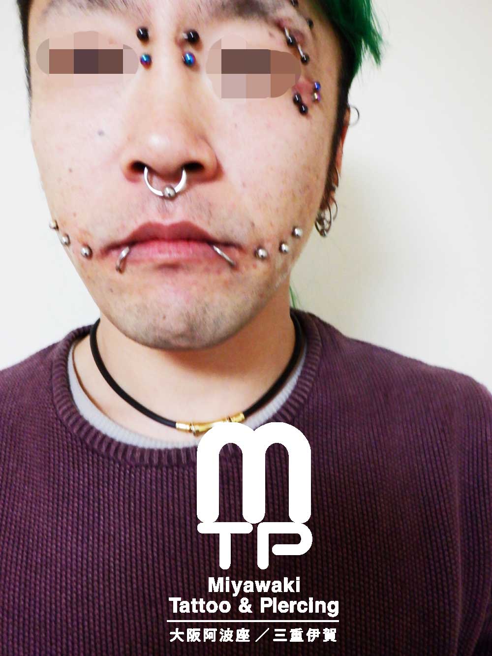 部位及び名称　鼻柱にブリッジピアス２連、左目下アンチアイブロー２連、セプタム（リング）左右にリップピアス（スネークバイト）、両頬に３つづ合計６個のチークピアス