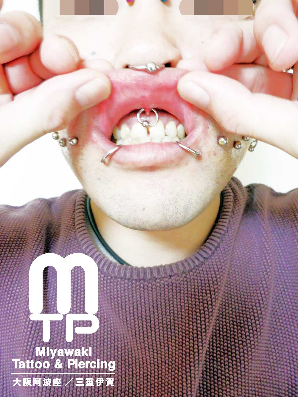 ピアスの部位及び名称：キャプテブビーズリングを使用したスクランパー