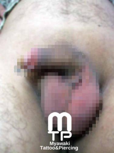 ピアスの部位及び名称：ハファダ、プリンスアルバート