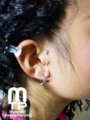 ピアスの部位及び名称：イヤーロブ、ヴァーティカルトラガス