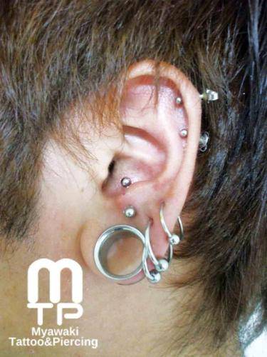 ピアスの部位及び名称：ヘリックス、アンチトラガス、イヤーロブ、ラージイヤーホール