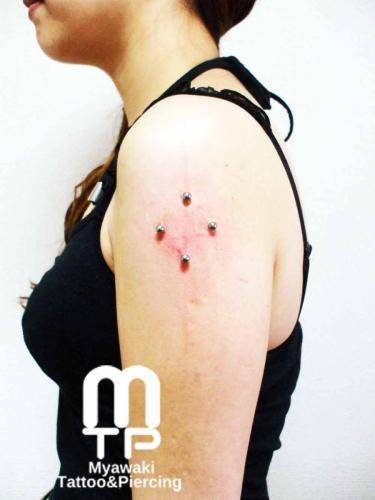 ピアスの部位及び名称：アーム