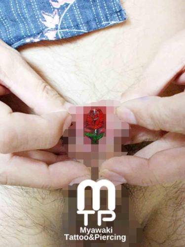 サブインシジョン（ミートトミー）された切開部（尿道内）に赤い薔薇。